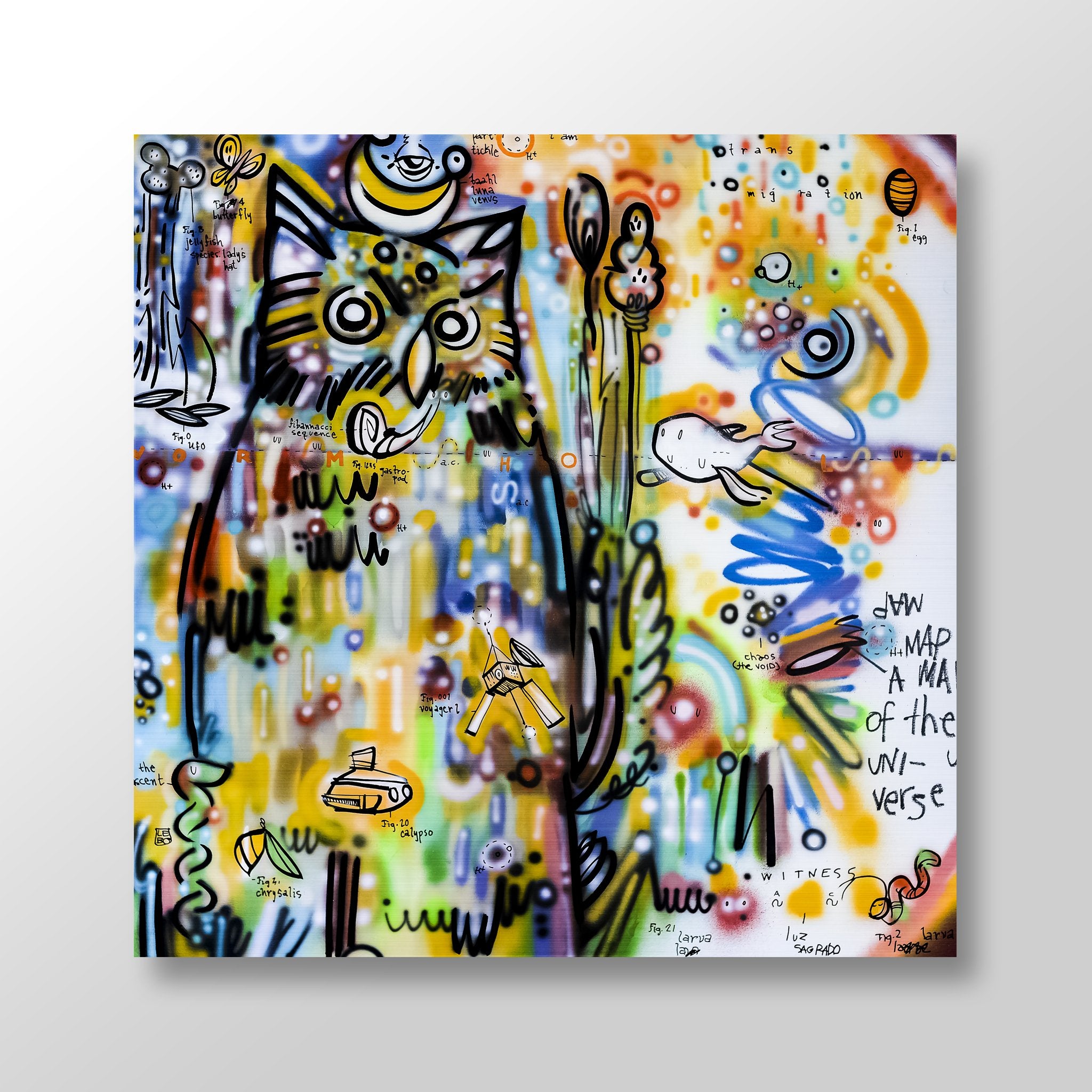 A Map of the Universe - Art Bond - shop.leboart.com